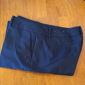 Ann Taylor Factory Navy Trousers
